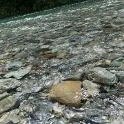はるの画像