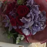 QFBの画像
