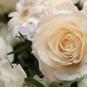 AM