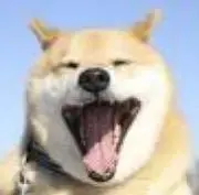 いぬ！の画像