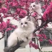 minの画像