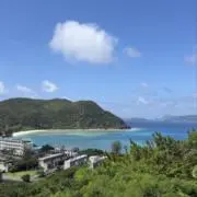 nya_nの画像