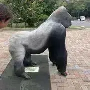 chipsanboの画像