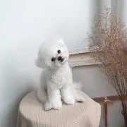 mの画像