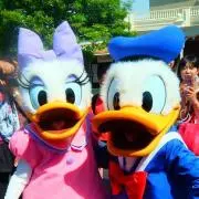 SAKURAの画像