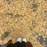 ちーの画像