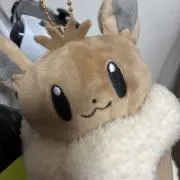 ちゃむの画像