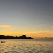 ponの画像