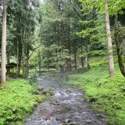 Chiの画像