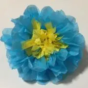 yamnの画像