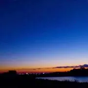 やんの画像