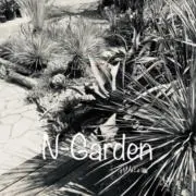 N-Gardenの画像