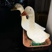 ミミおーん　即購入可の画像