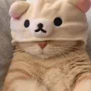 Cathyの画像