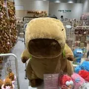 サムライ殿の画像