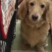 まるの画像