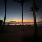 ちーの画像