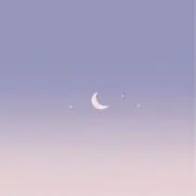 こむぎ @プロフご覧下さいの画像