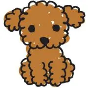 わんこの画像