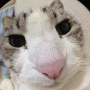 何でも屋の画像