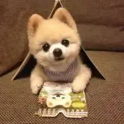 エイプ