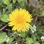 あこ☆プロフ必読☆の画像