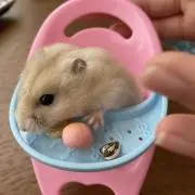 おさしおめいの画像