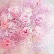 kの画像