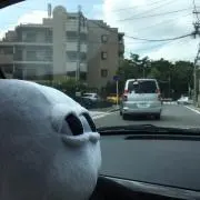 ざとざとの画像