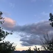 tsuの画像