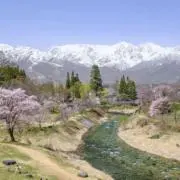 ドラム トイの画像