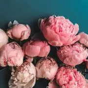 mの画像