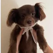 あっこの画像