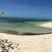 こころ