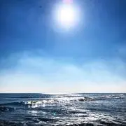 マロン