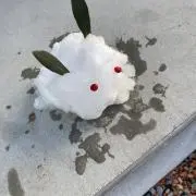 ももの画像