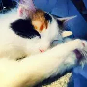 名瀬の画像