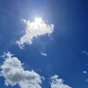 麦茶の画像