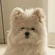 ㄴㄴの画像