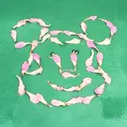 さちこ