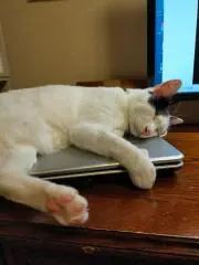 まるまるの画像