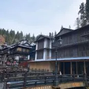 shoheyの画像