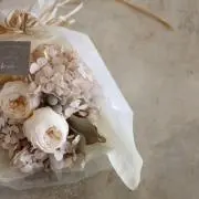 cocoa05の画像