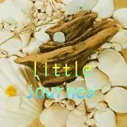 little journey✨流木✨の画像