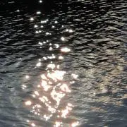 紅音也
