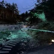フルーボ　値下げ交渉NGの画像