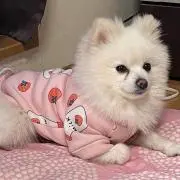 よしだ