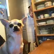 ぬぬぬぬの画像