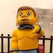 pppp