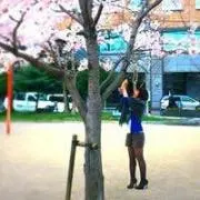 ゆかりの画像